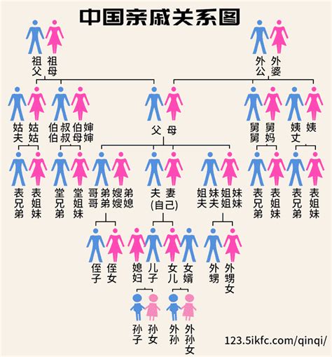 叫法|中国人亲戚关系图表